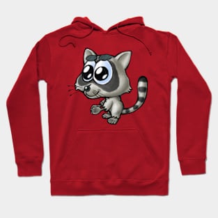 Raccoon (Animal Alphabet) Hoodie